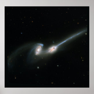 Affiche La souris (NGC 4676) - Collising Galaxies