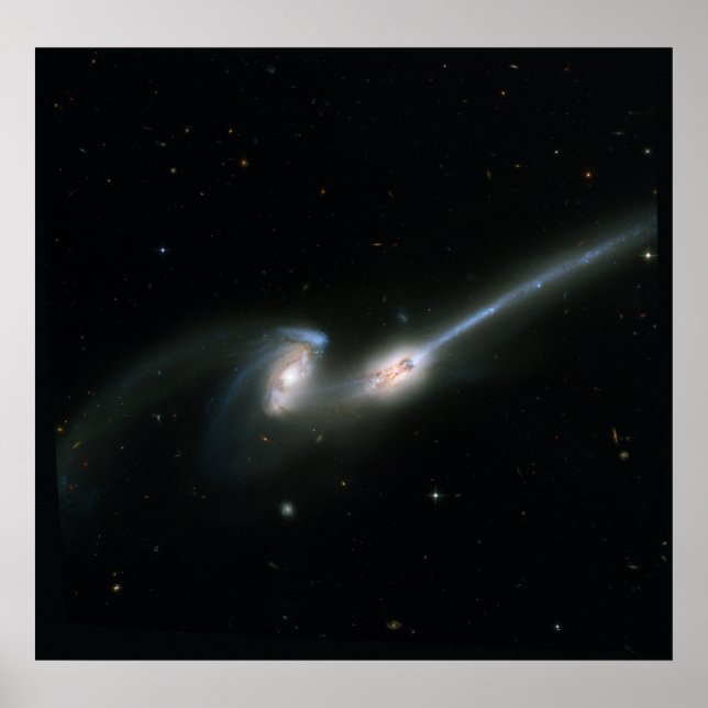 Affiche La souris (NGC 4676) - Collising Galaxies (Devant)