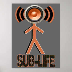 Affiche La sous vie Dubstep