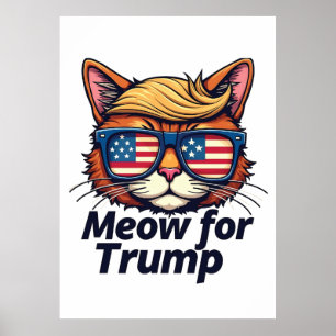 Affiche La stratégie de Trump pour une nouvelle élection s