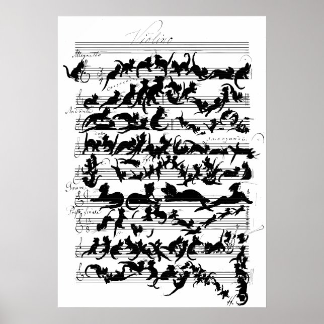 Affiche La Symphonie du vecteur de chat (Devant)