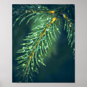 Affiche La Tapisserie de la nature : saisir la beauté des 