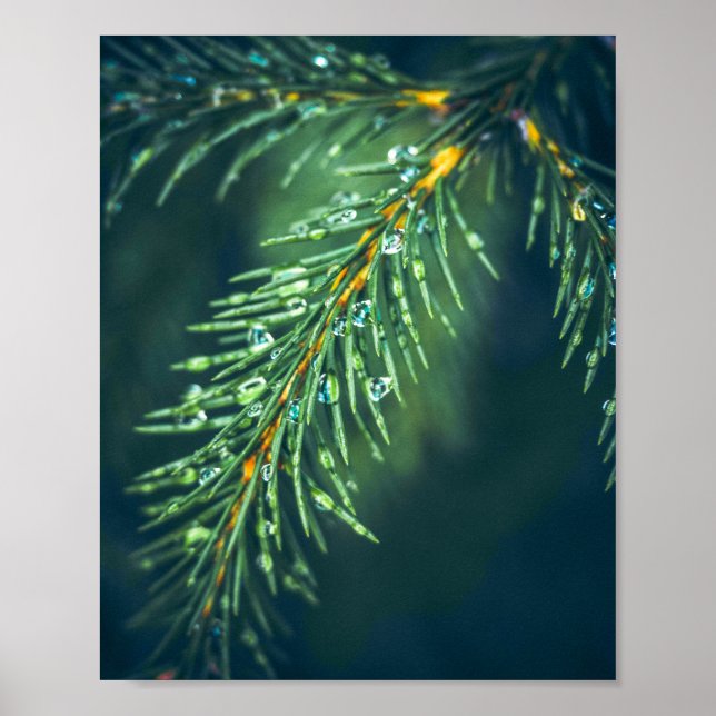 Affiche La Tapisserie de la nature : saisir la beauté des  (Devant)