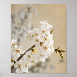 Affiche La Tapisserie Florale Whispers déplie les fleurs d