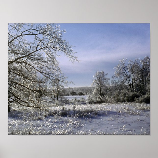 Affiche La Tempête De Glace Luit Une Forêt (Devant)