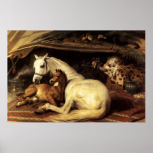 AFFICHE LA TENTE ARABE AVEC CHEVAUX ET AUTRES ANIMAUX