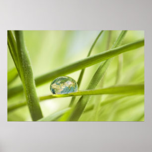 Affiche La terre en une goutte