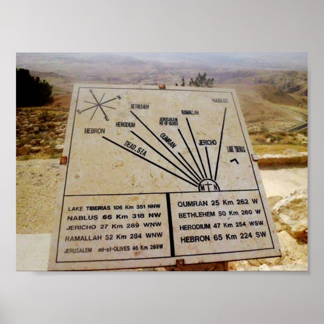 Affiche La Terre Promise (Devant)