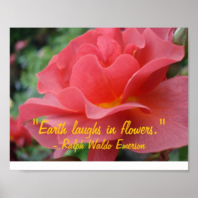 Affiche La Terre rit en fleurs (Devant)