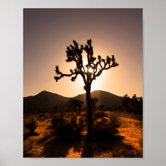 Affiche La tombée de la nuit commence à Joshua Tree (Devant)