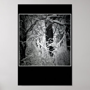 Affiche la tonnelle de la reine de neige