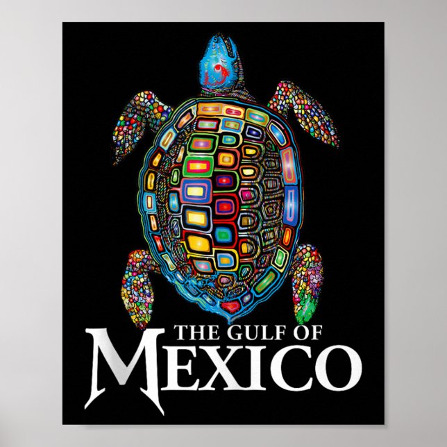 Affiche La Tortue De Mer Graphique Golfe Du Mexique N'Oubl (Devant)