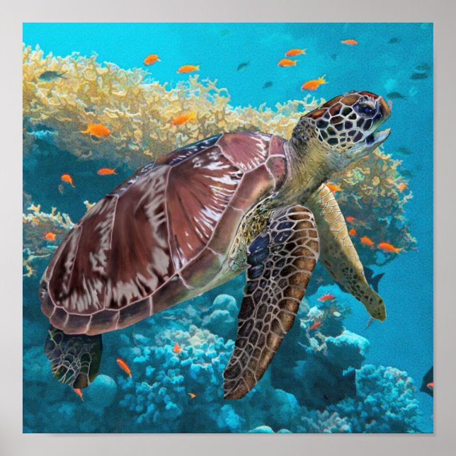 Affiche La Tortue De Mer Verte Nager Près De Coral Reef (Devant)