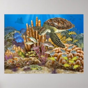 Affiche La Tortue Verte Au-Dessus De La barrière De Corail