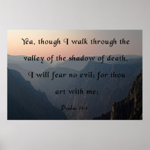 Affiche La Vallée de l'ombre de la mort