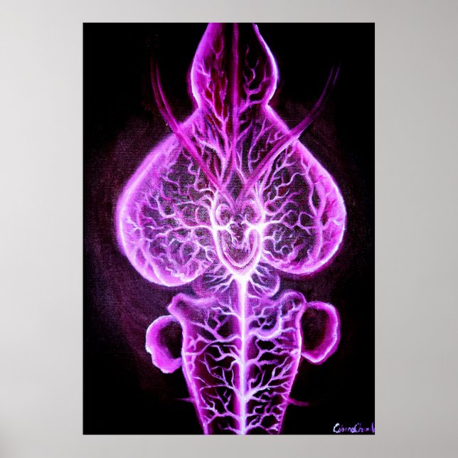 Affiche La vascularisation du système nerveux en roden (Devant)