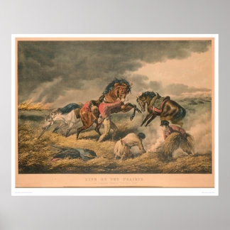 Affiche La vie dans les Prairies : défense de Trapper (087