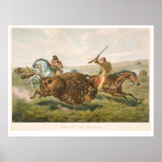 Affiche La vie dans les Prairies : La chasse au bison (087