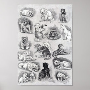 Affiche La vie de chaton au spectacle félin, Louis Wain