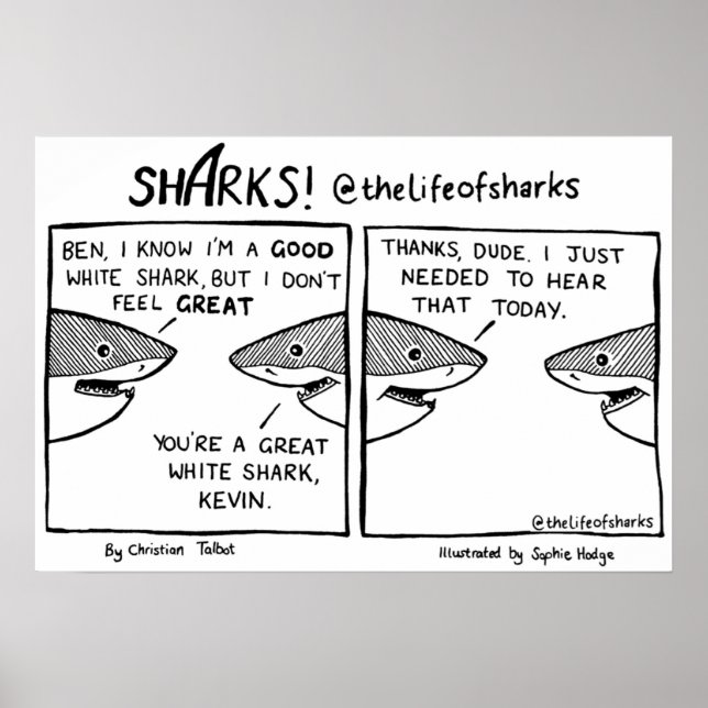 Affiche La vie des requins Grand requin blanc (Devant)