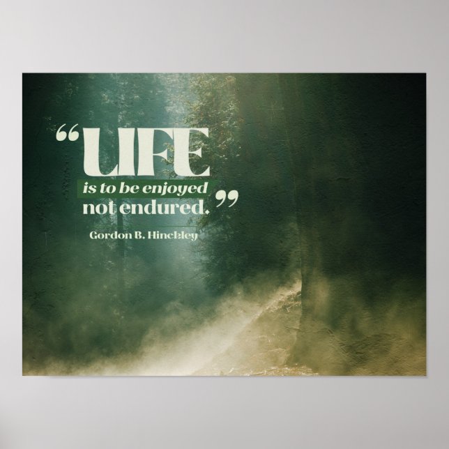 Affiche La Vie Doit Être Jouie (Devant)