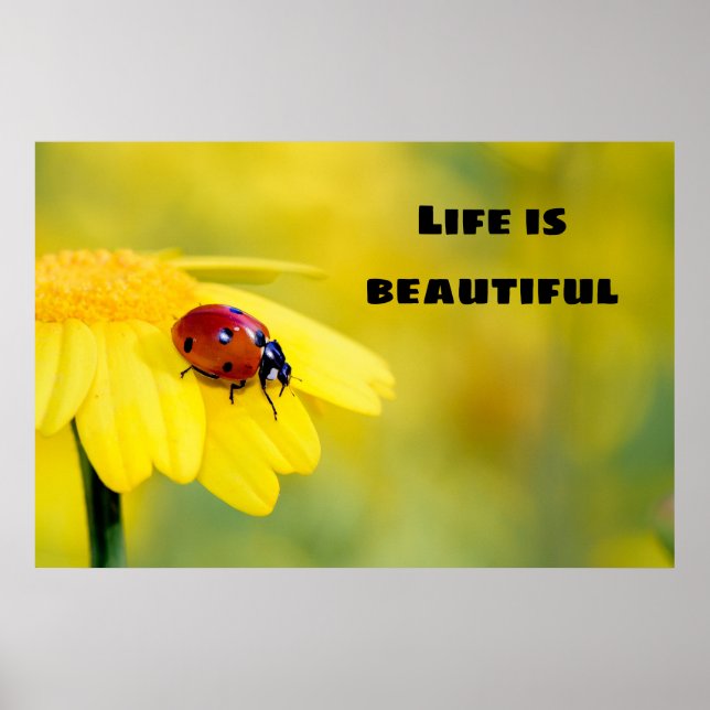 Affiche La vie est belle - Ladybug (Devant)