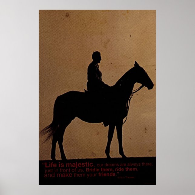 Affiche La vie est majestueuse (Devant)