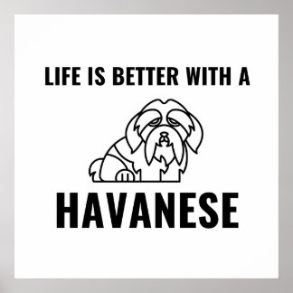 Affiche La vie est meilleure avec un havanais