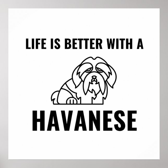 Affiche La vie est meilleure avec un havanais (Devant)