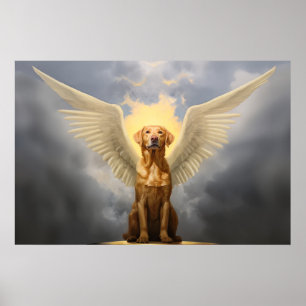 Affiche Lab Angel