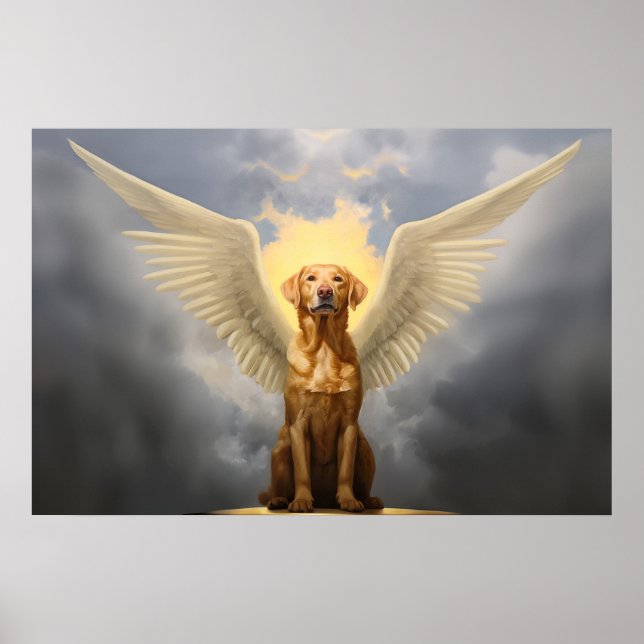 Affiche Lab Angel (Devant)