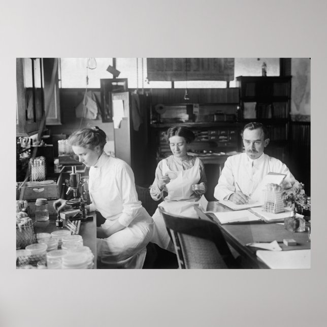 Affiche Lab Rats, 1912 (Devant)