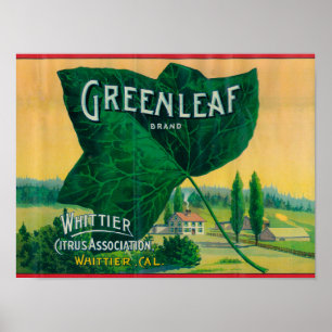 Affiche Label de citron vertWhittier, CA
