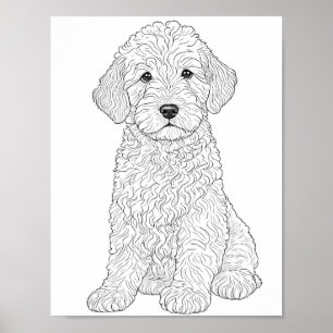 Affiche Labradoodle Colorage adulte