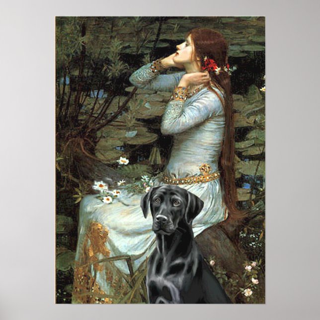 Affiche Labrador (noir 1) - Ophélie (Devant)
