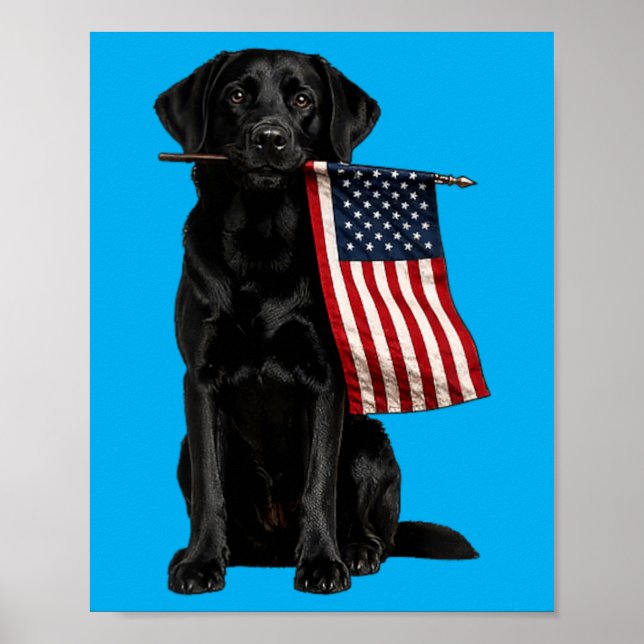 Affiche Labrador noir tenant un drapeau américain drôle do (Devant)