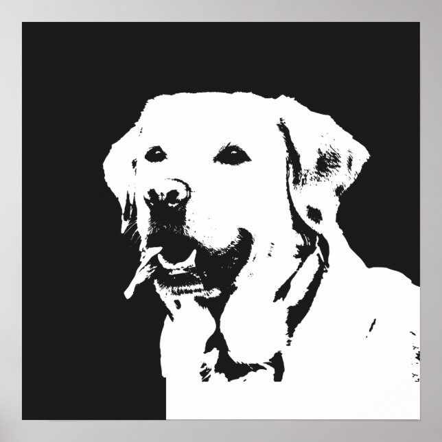 Affiche Labrador Retriever (Devant)