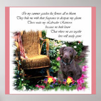 Labrador Retriever Art Don
