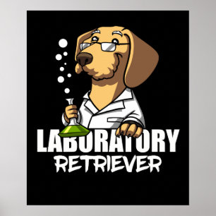Affiche Labrador Retriever Chien Chimie Enseignant en scie