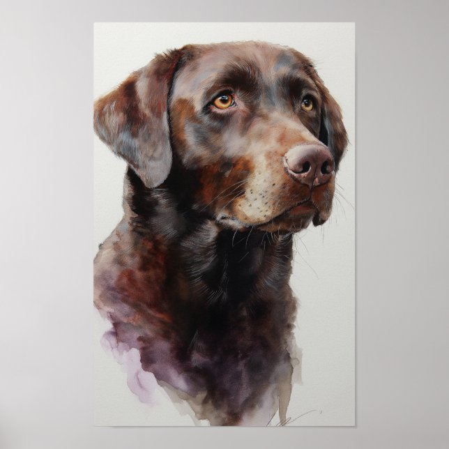 Affiche Labrador retriever chocolat aquarelle (Devant)