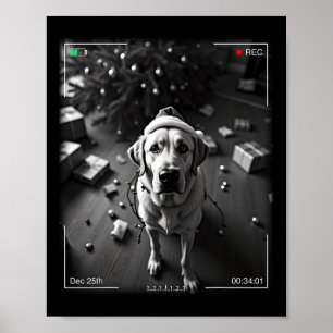 Affiche Labrador Retriever de Noël pris en caméra