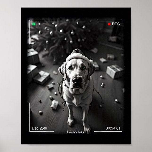 Affiche Labrador Retriever de Noël pris en caméra  (Devant)