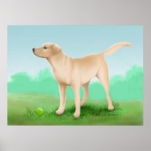 Affiche Labrador retriever et sa balle de tennis