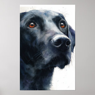 Affiche Labrador retriever noir aquarelle