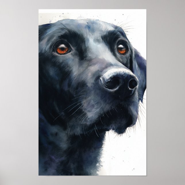 Affiche Labrador retriever noir aquarelle (Devant)