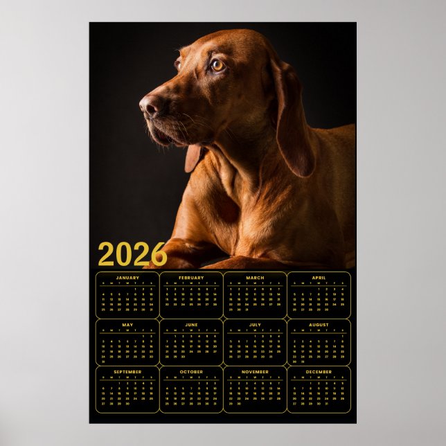 Affiche Labrador Retriever Portrait with 2026 Calendar (Devant)
