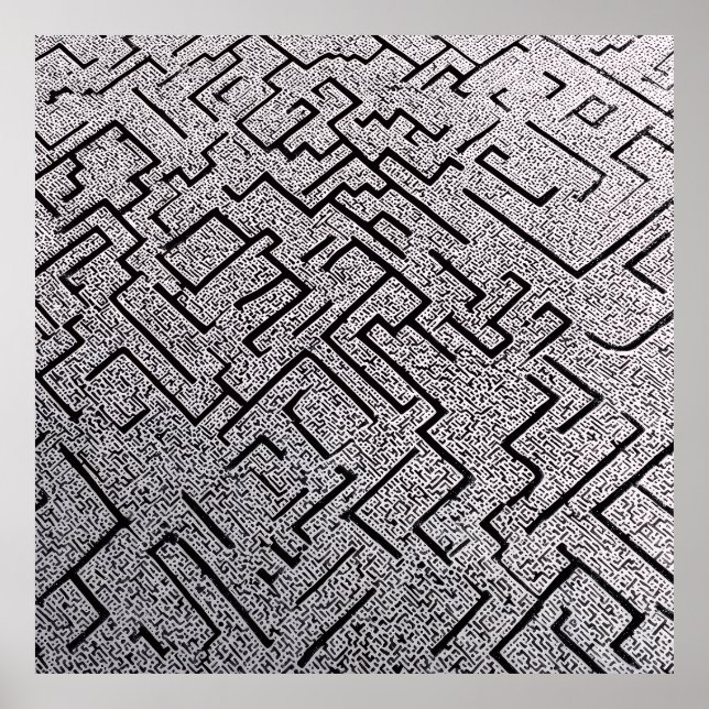 Affiche Labyrinthe Intrigué Noir et Blanc (Devant)