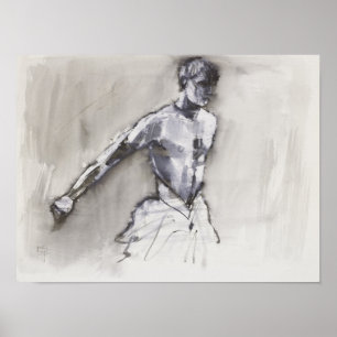 Affiche Lac 2001 swan