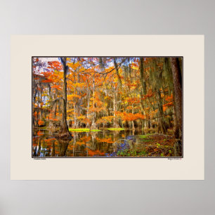 Affiche Lac Caddo - Automne - Texas