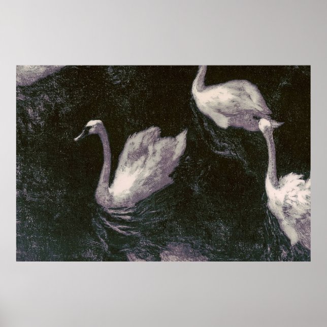 Affiche Lac des cygnes au clair de lune (Devant)